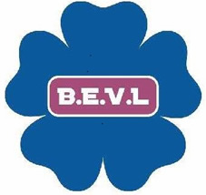 Blossom Enbel Ventures Limited